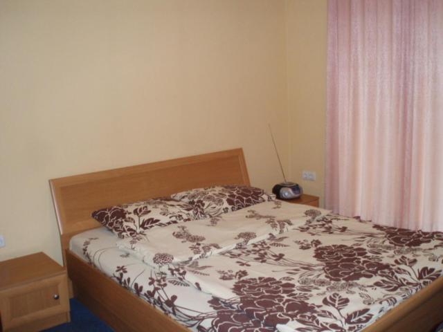 Marijos Karpenko Apartaments Каунас Номер фото
